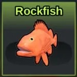 Rockfish