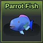 Parrot Fish