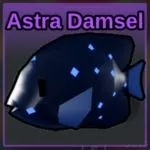 Astra Damsel