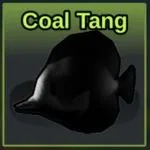 Coal Tang