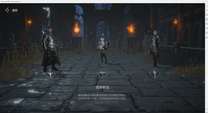 ROM: Golden Age on CROSS- 選擇合適的職業- 24小時線上