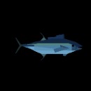 Roblox Fish it- Yellowfin Tuna- 24/7 hosting