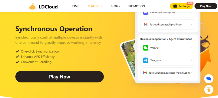 LDCloud website showing the synchronous operation details 