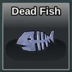 Dead Fish