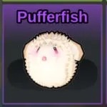 Pufferfish