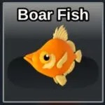 Boar Fish