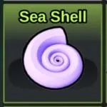 Sea Shell