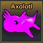 Axolotl