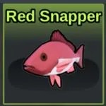 Red Snapper