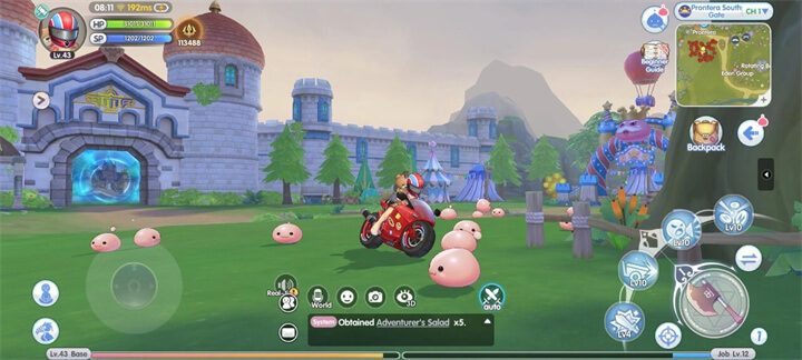 Using a Pet in a Fight - LDCloud