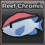 Roblox Fish it- Reef Chromis- Cloud phone hands-free