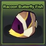Raccoon Butterfly Fish