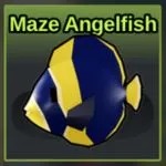 Maze Angelfish
