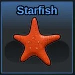 Starfish