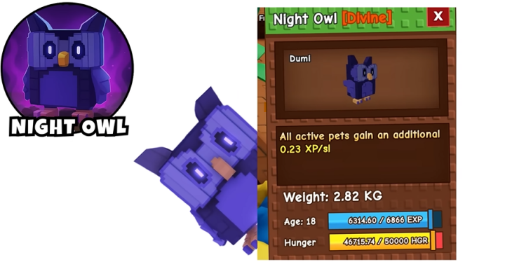 Grow A Garden- Image showing the Night Owl details- A B-tier pet in Roblox Grow A Garden- Game AFK Tool