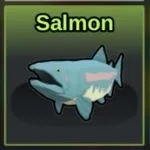Salmon
