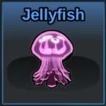 Jellyfish