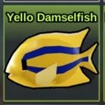 Roblox Fish it- Yello Damselfish- 24/7 hosting