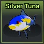 Silver Tuna