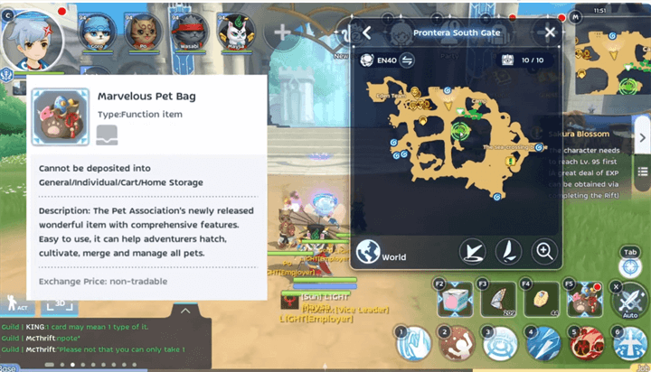 Marvelous Pet Bag in Ragnarok M: Classic- An essential item to unlock the pet system - LDCloud