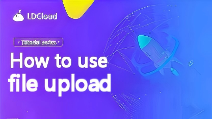 How to use file upload